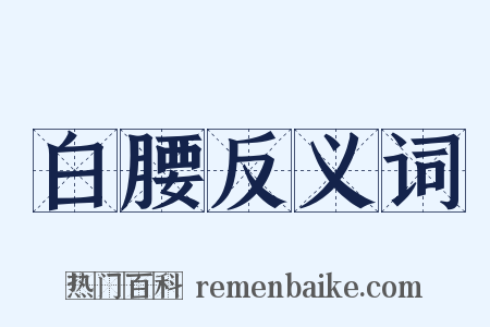 白腰反义词是什么意思的图片